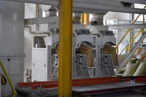 Filling and packing equipment for coating containers