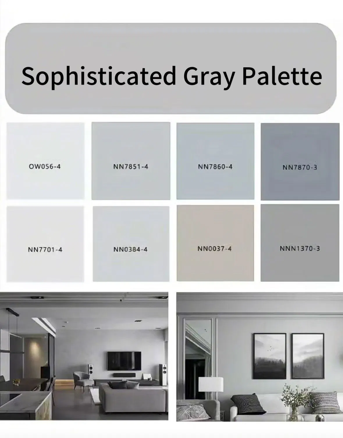 Interior Wall Latex Building Coating for a Fresh Atmosphere